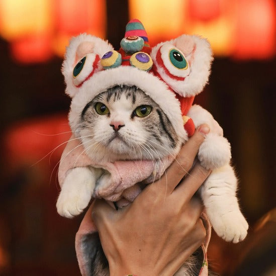 Costumes Pour Chats