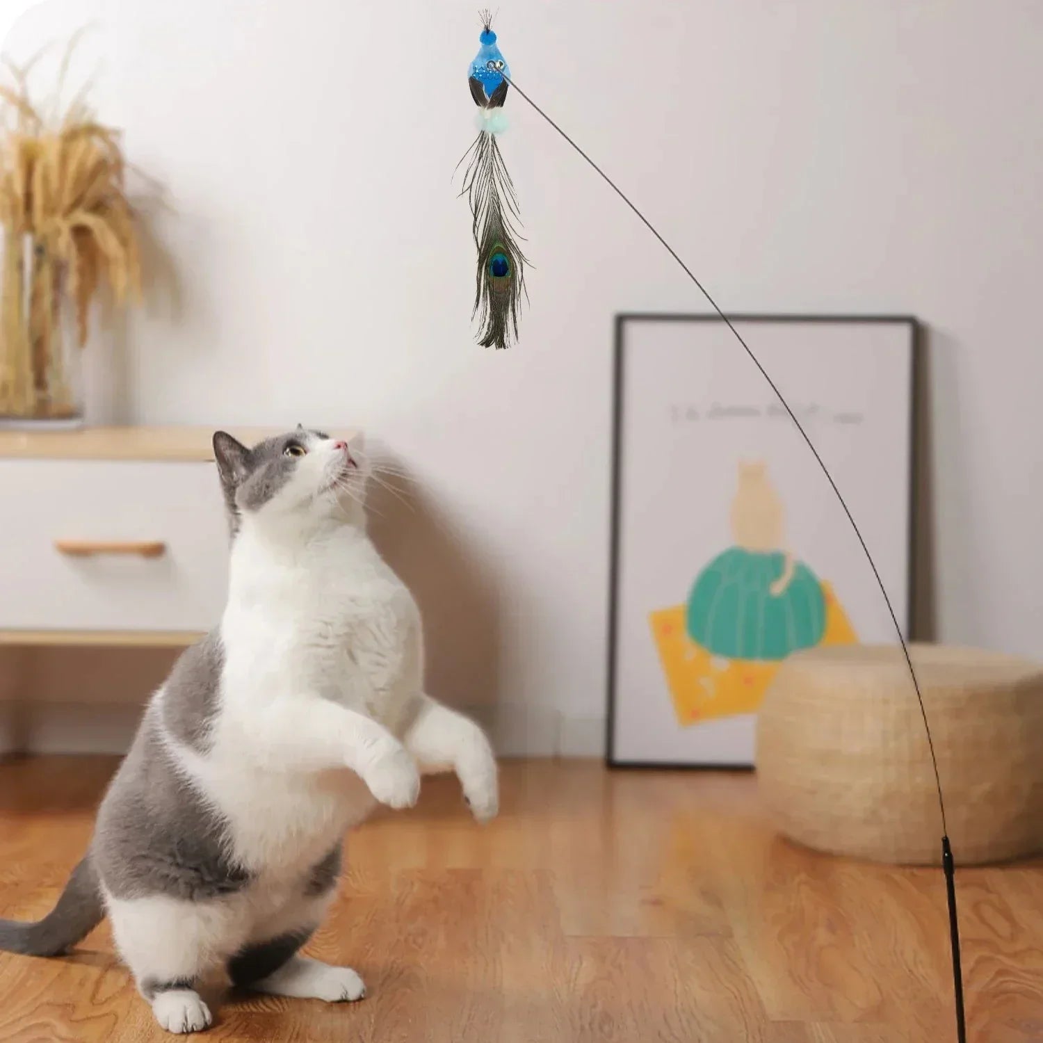 Canne a Peche pour Chat