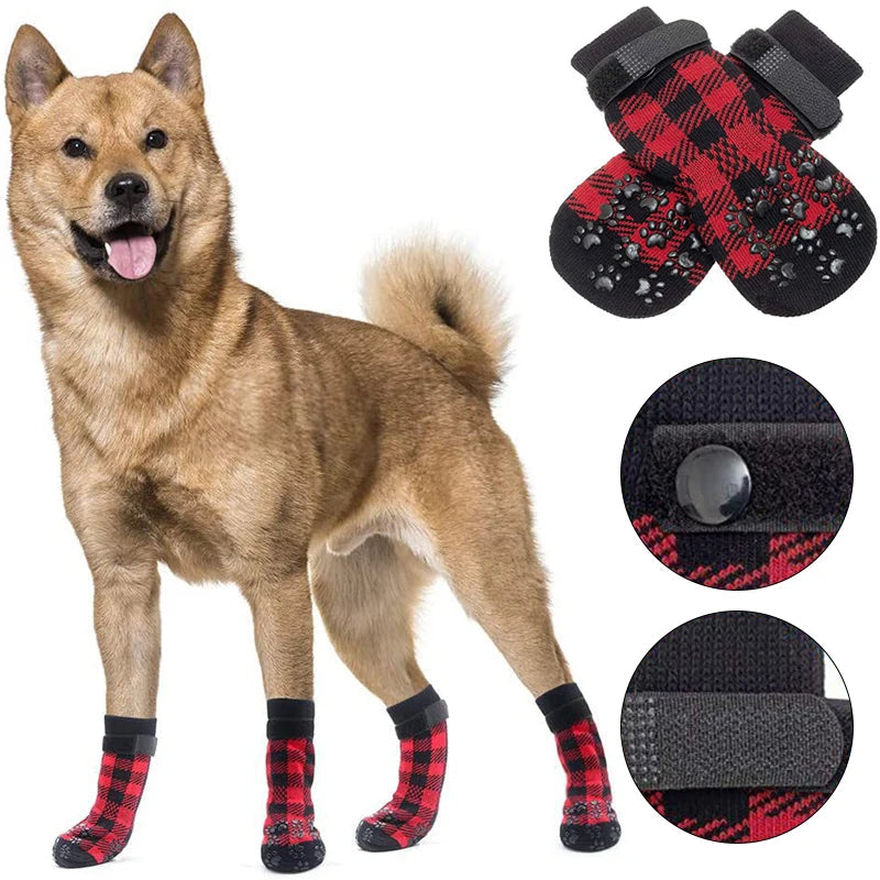 Chaussettes pour Chien