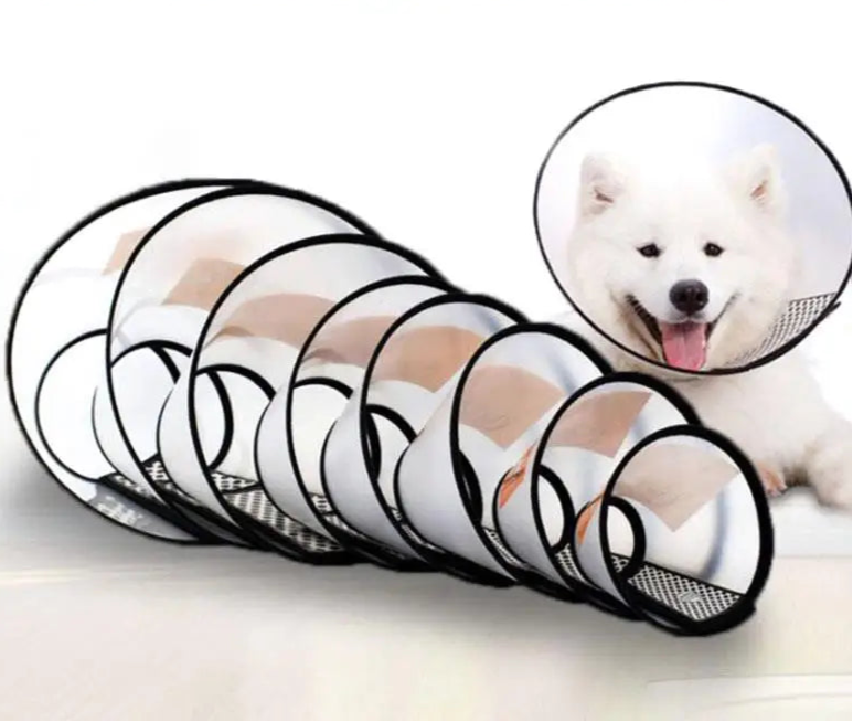 Collerette pour Chien