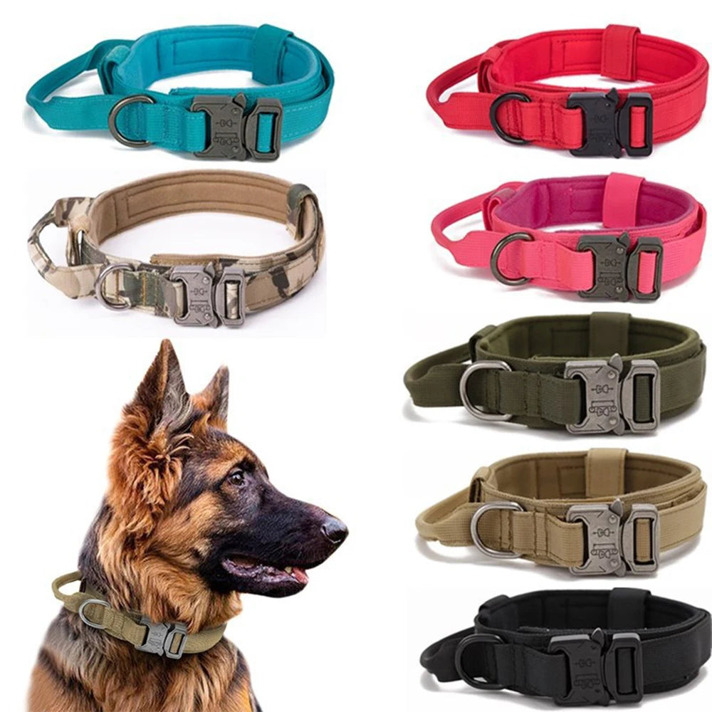 Collier pour Chien