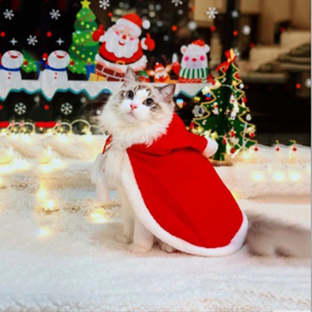 Costume De Noël Pour Chat