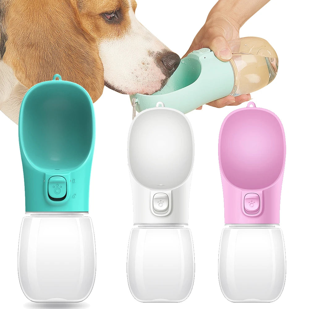 Gourde pour Chien