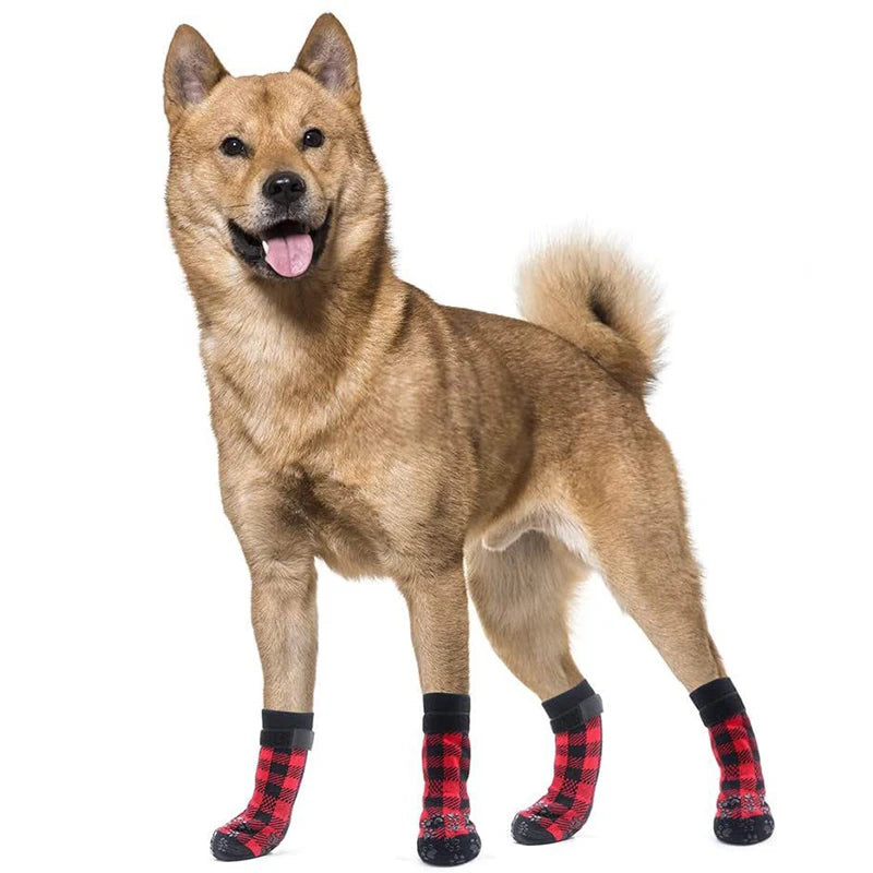 Chaussettes pour Chien