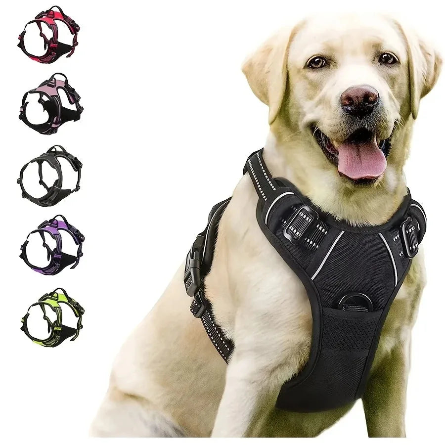 Harnais pour Chien