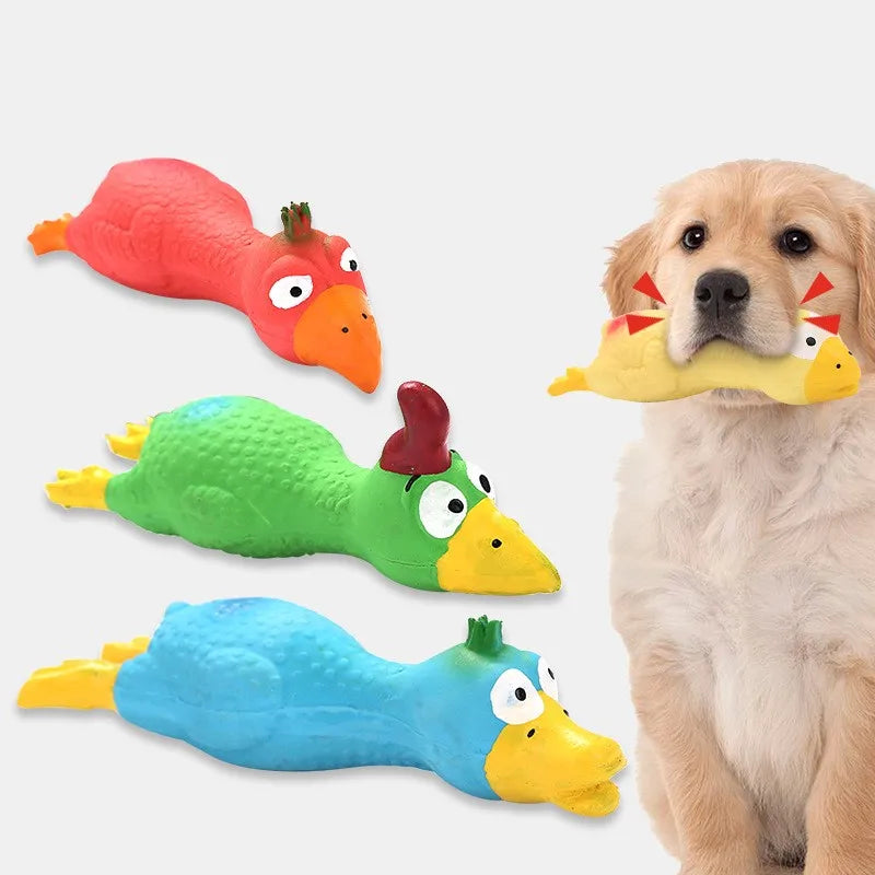 Jouet pour Chien Poulet