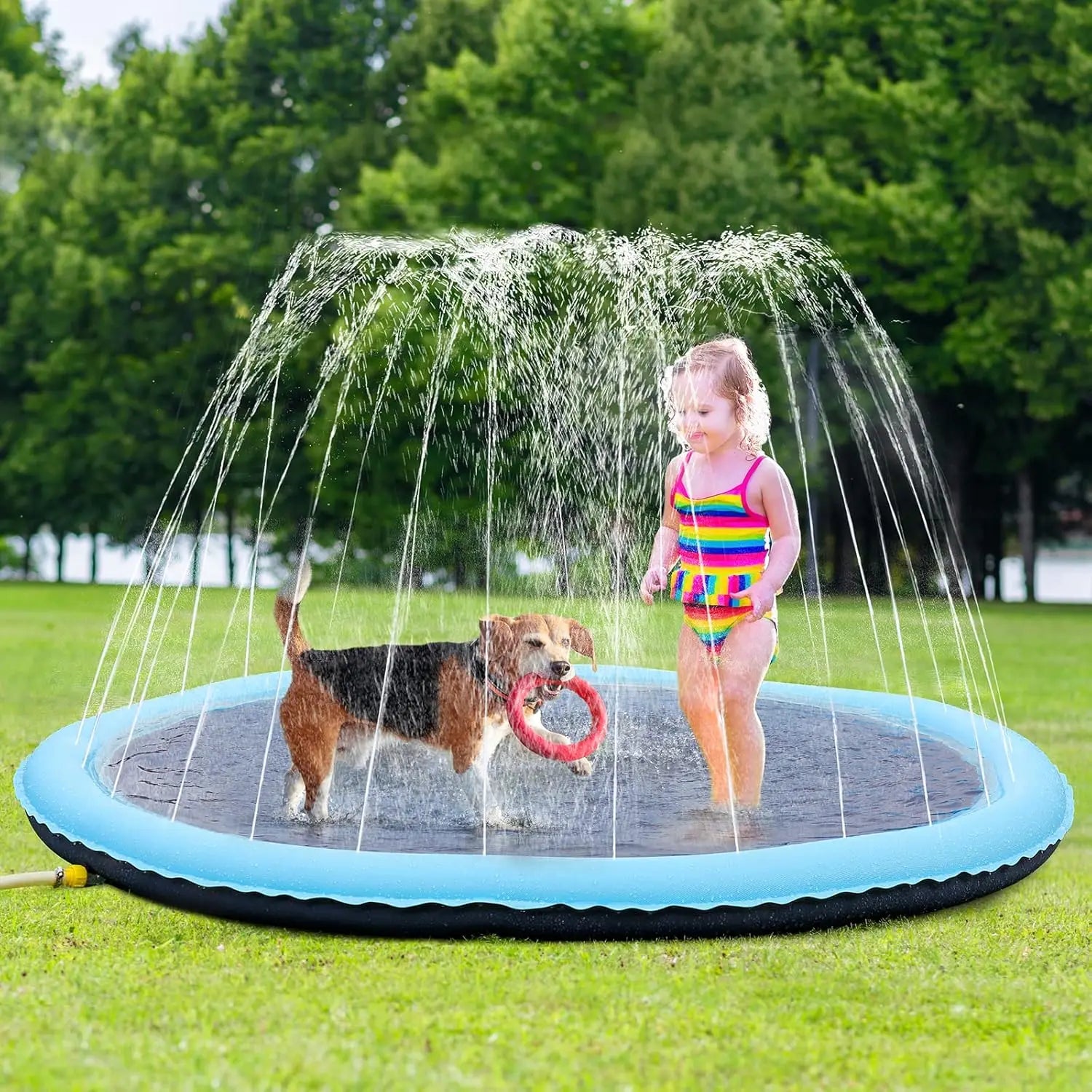 Piscine pour Chien