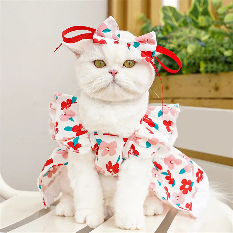 Robe Pour Chat