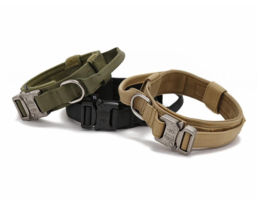Collier pour Chien