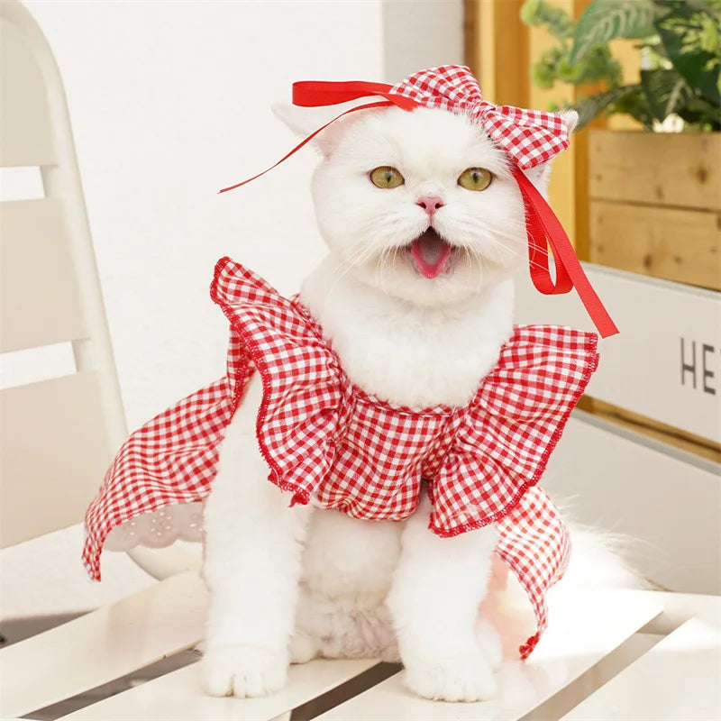 Robe Pour Chat