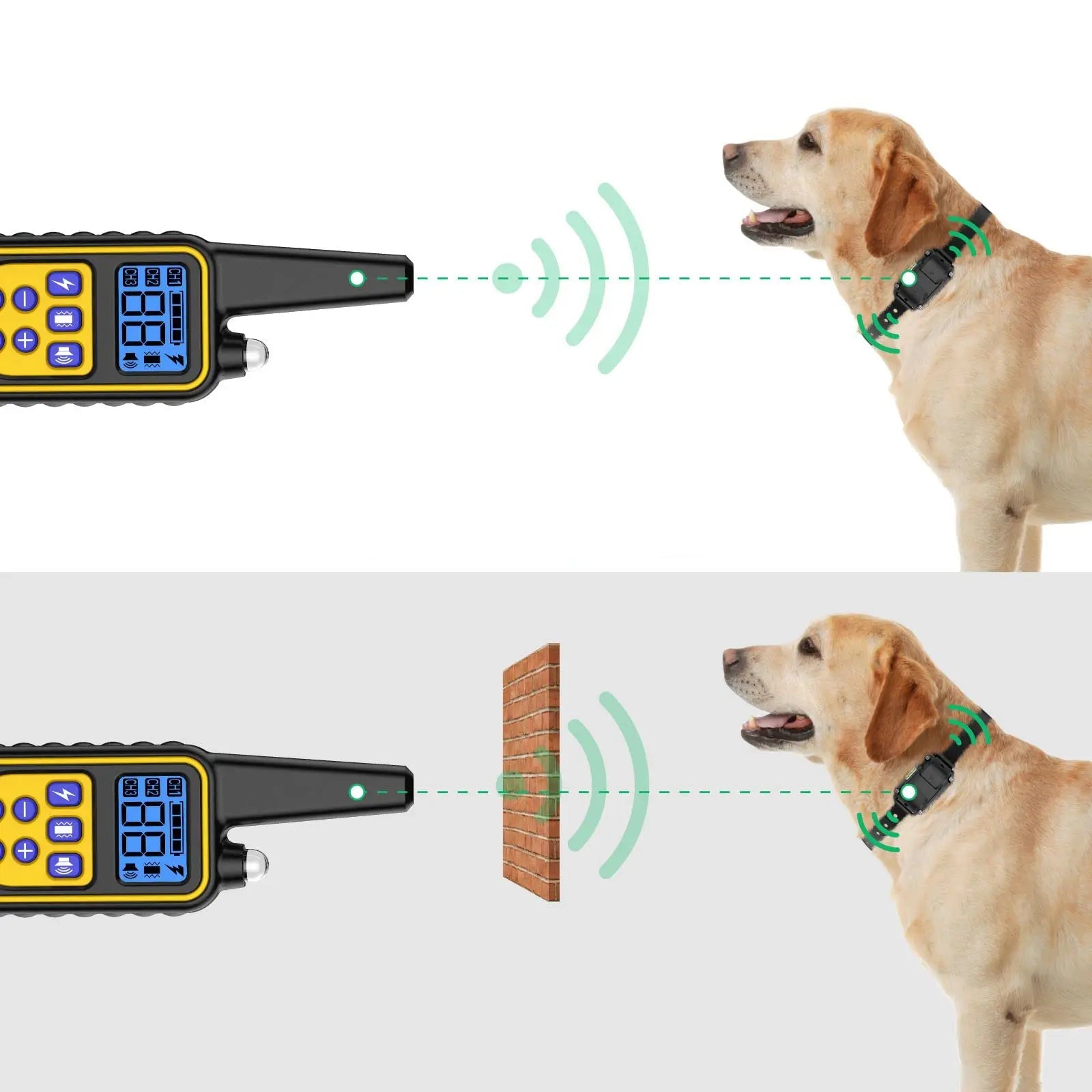 Collier Electrique pour Chien