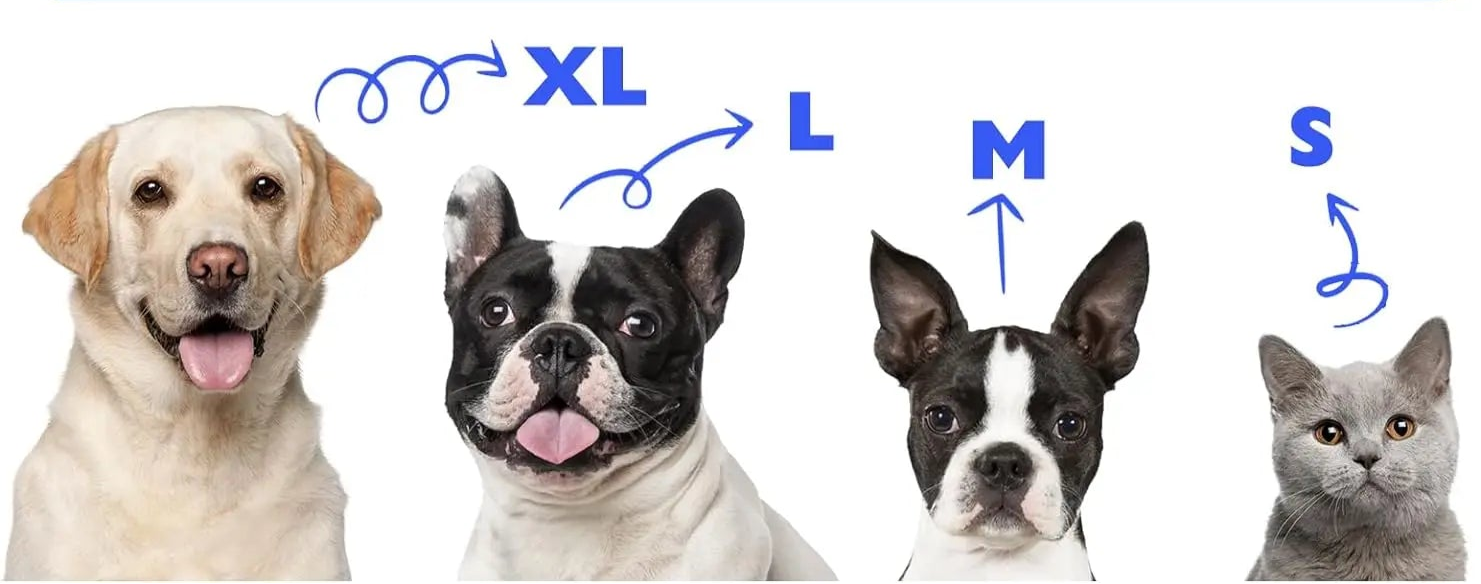 Collerette Gonflable