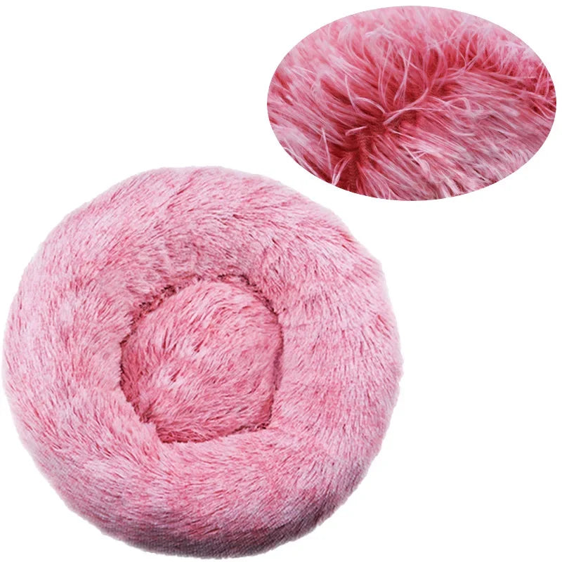 Coussin pour Chien