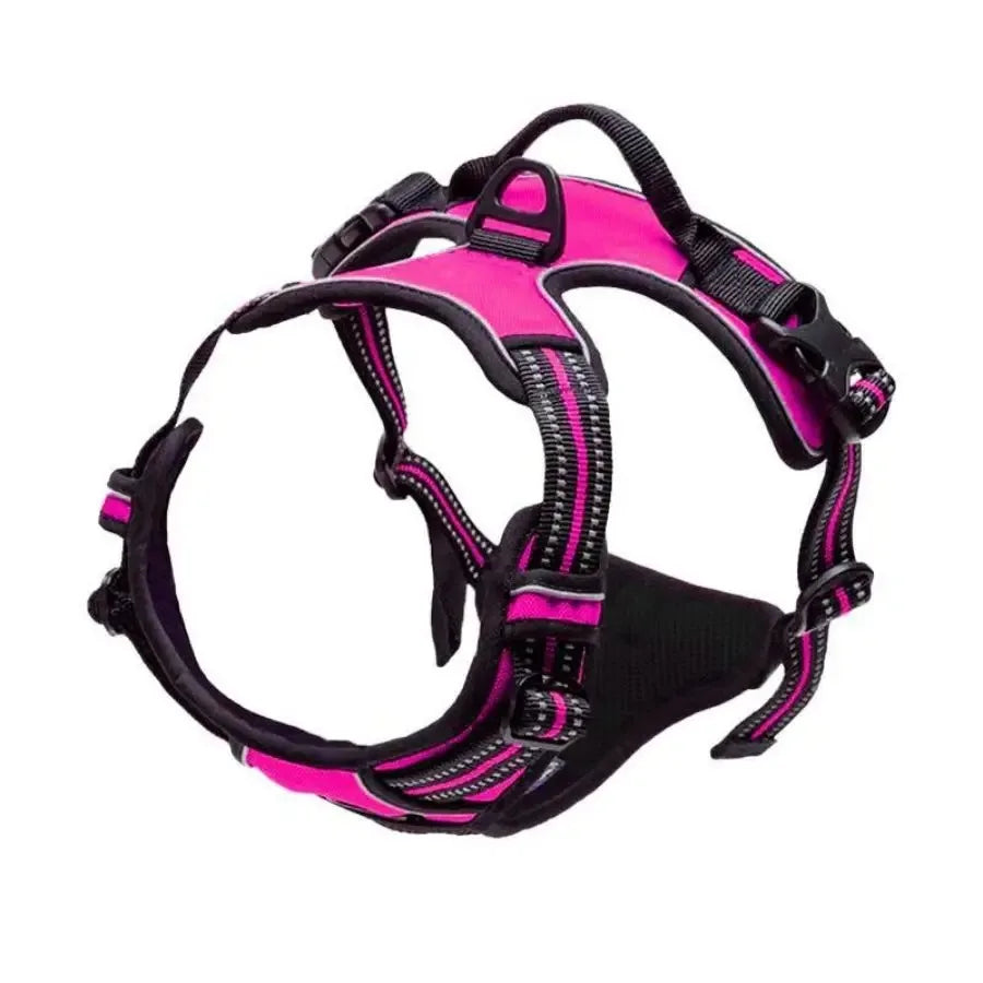 Harnais pour Chien