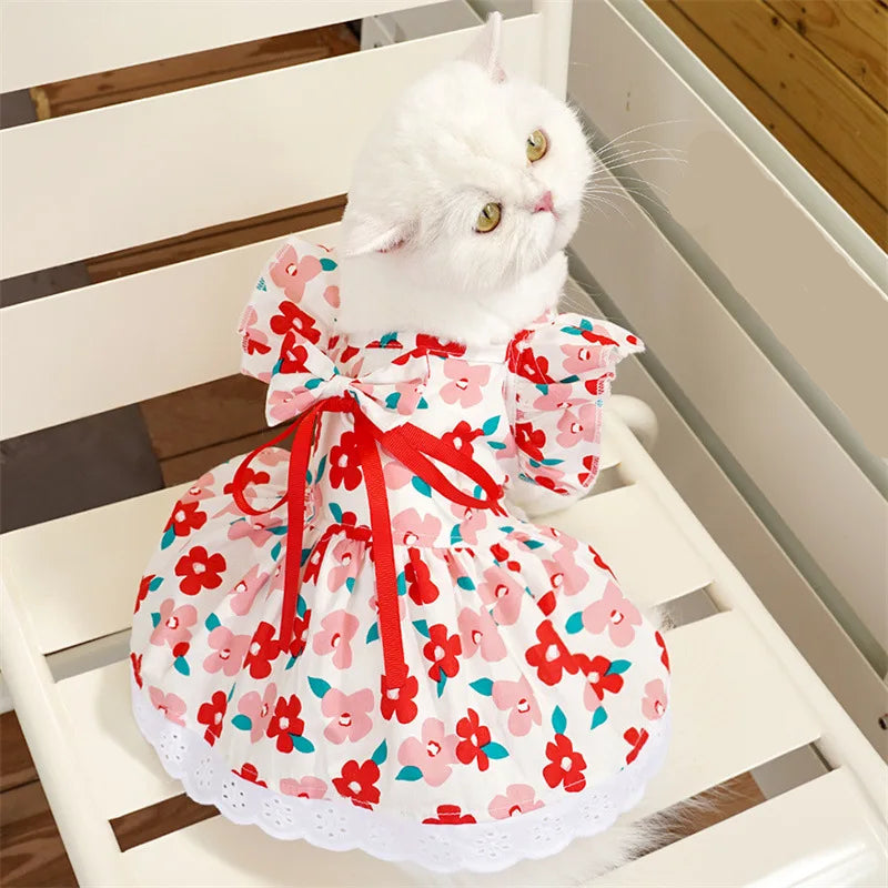 Robe Pour Chat