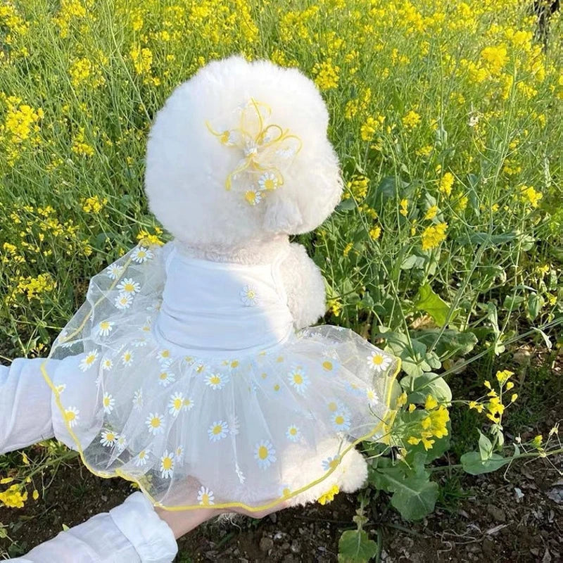 Robe Pour Chienne - Modèle au choix