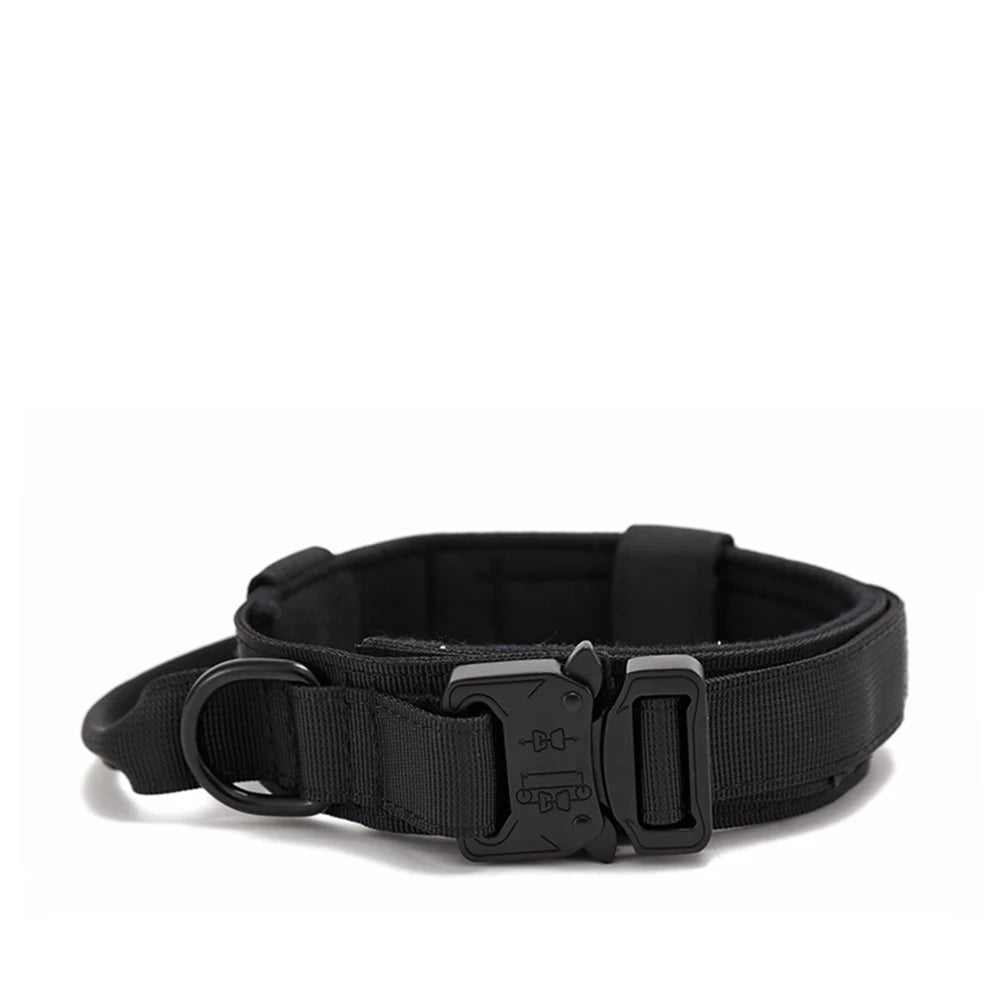 Collier pour Chien