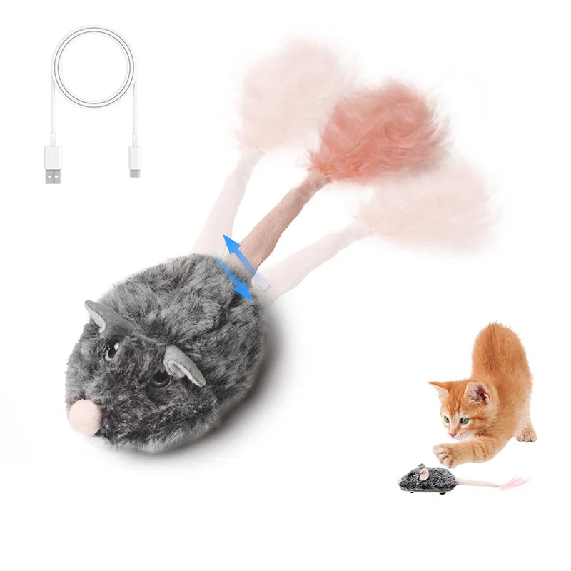 Souris pour Chat