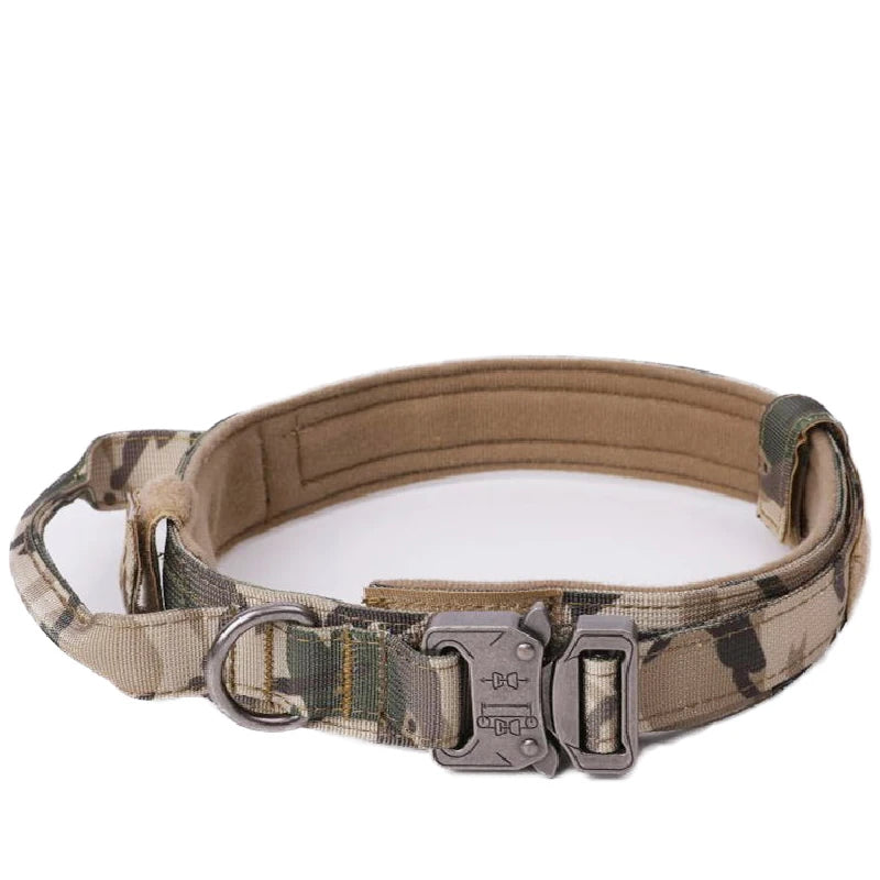 Collier pour Chien