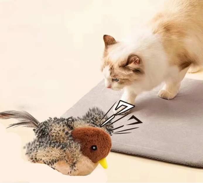 Oiseau Interactif pour Chat