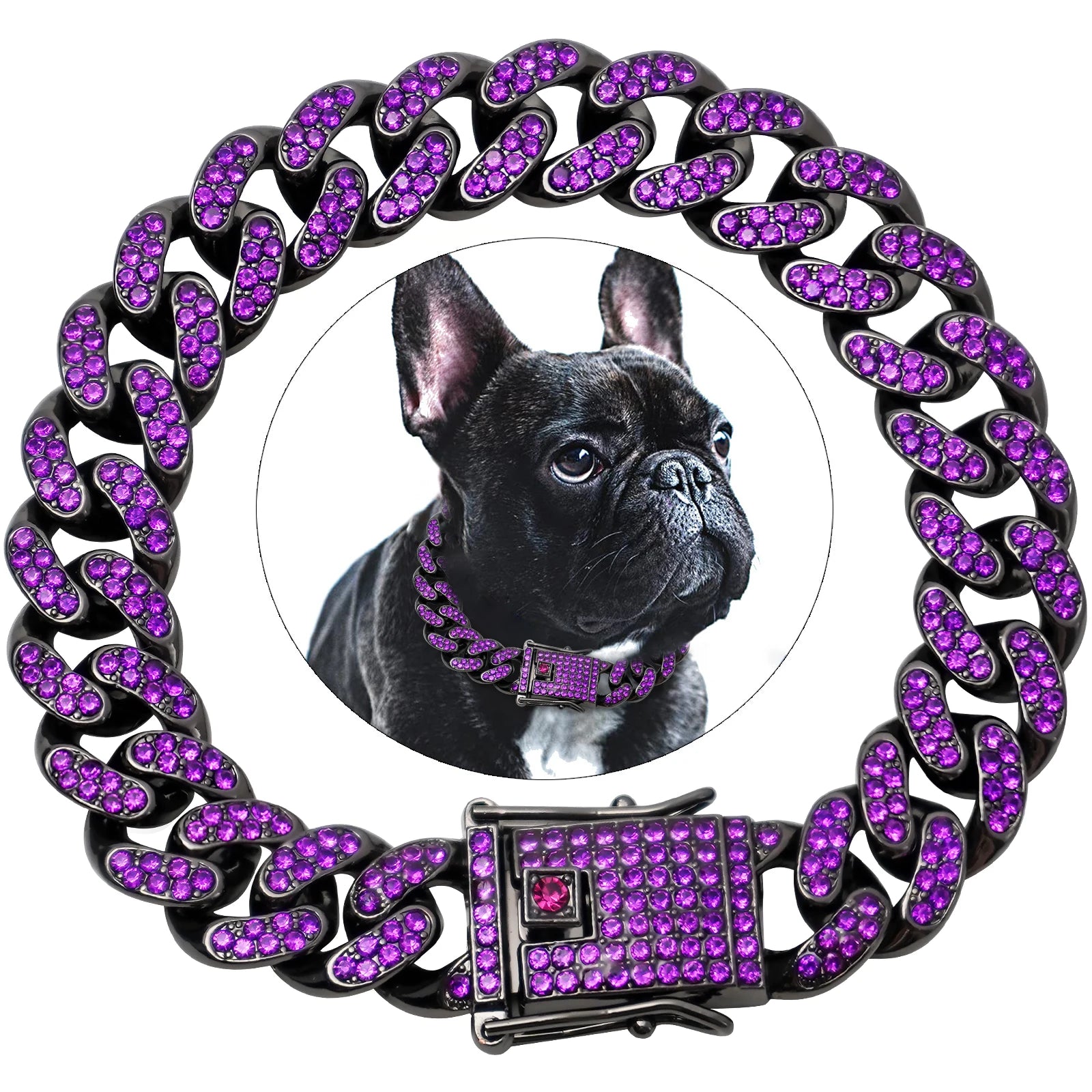 Collier Fashion pour Chien