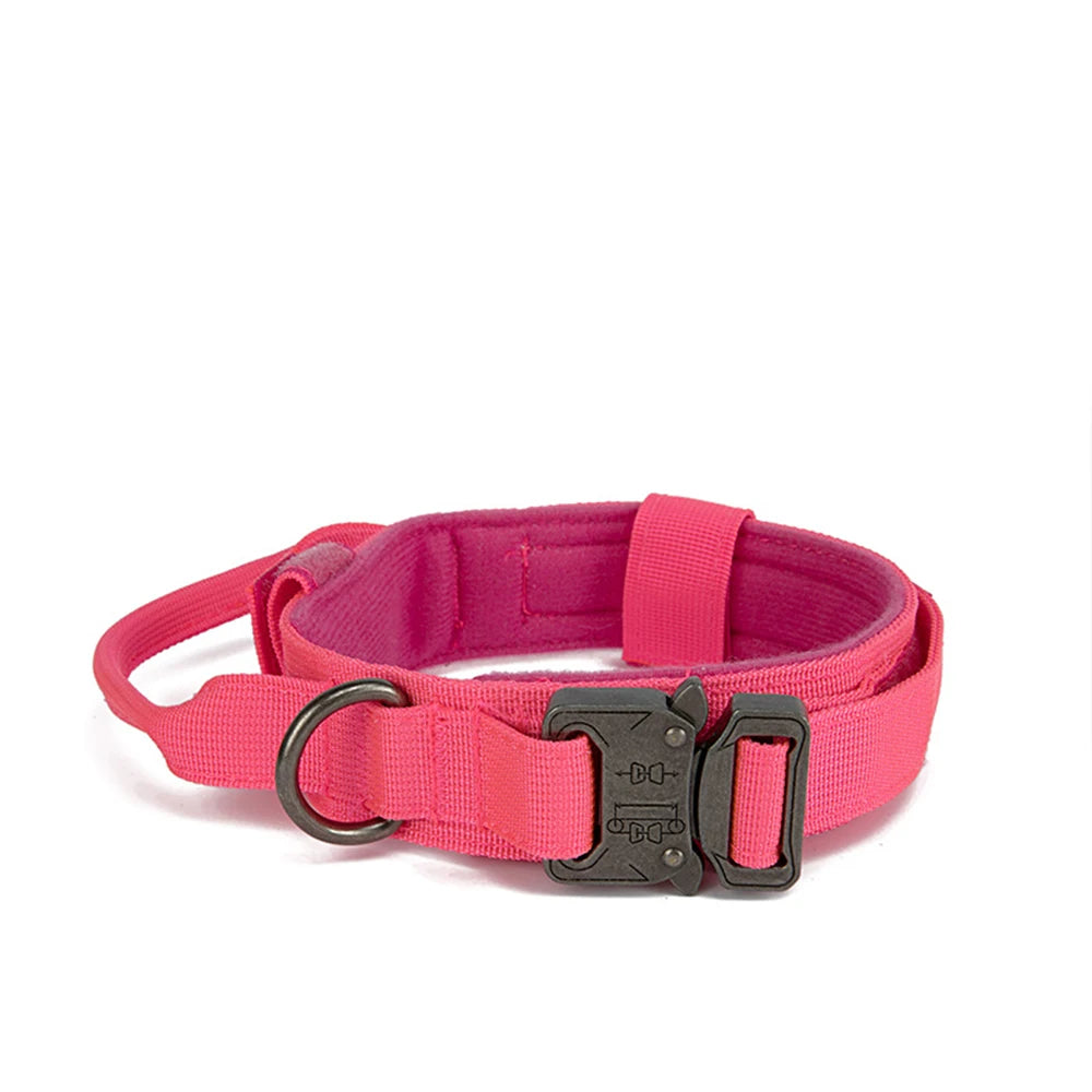 Collier pour Chien