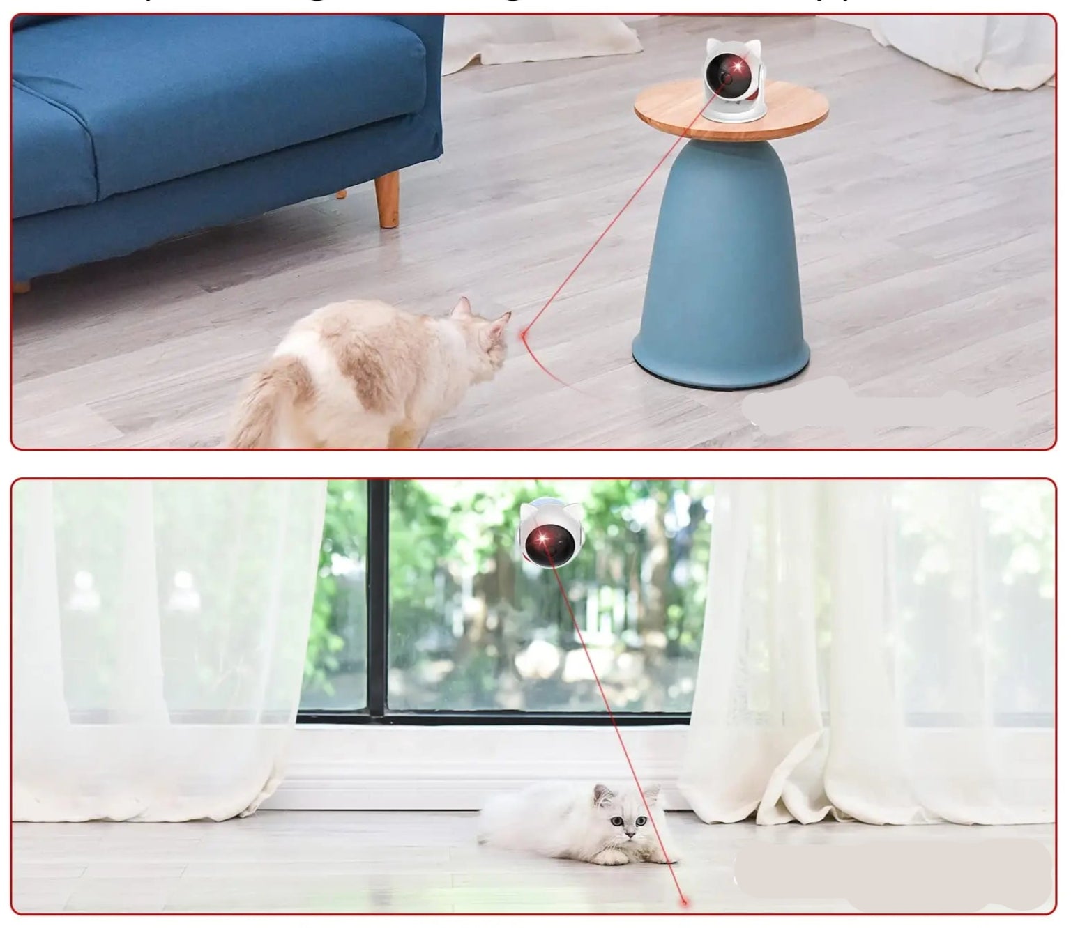 Laser pour Chat