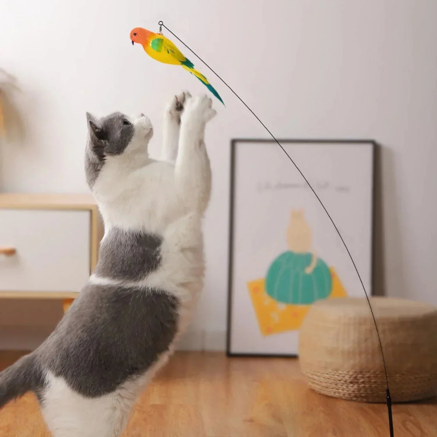 Canne a Peche sur Ventouse pour Chat