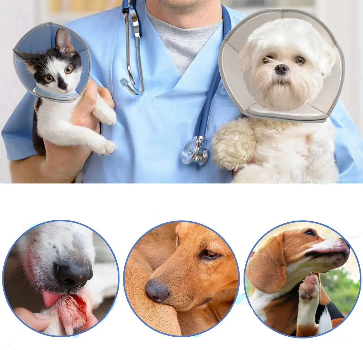 Collerette pour Chien Pliable