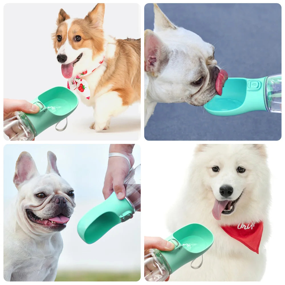 Gourde pour Chien