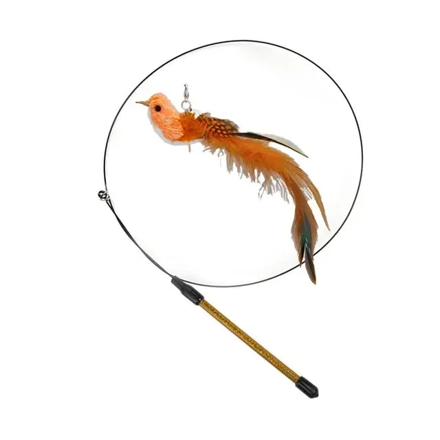 Canne a Peche pour Chat