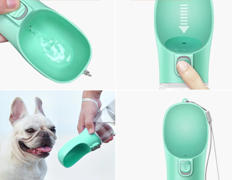 Gourde pour Chien