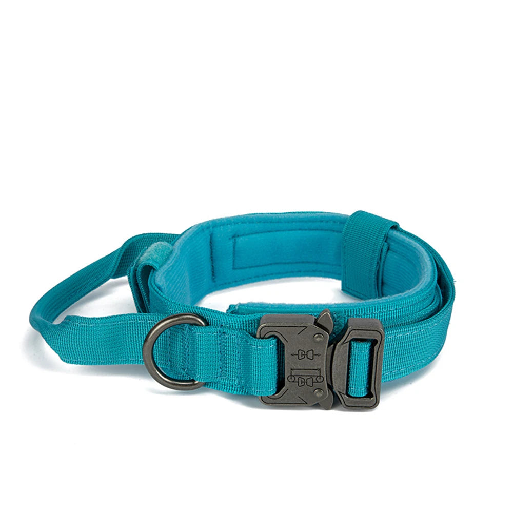 Collier pour Chien
