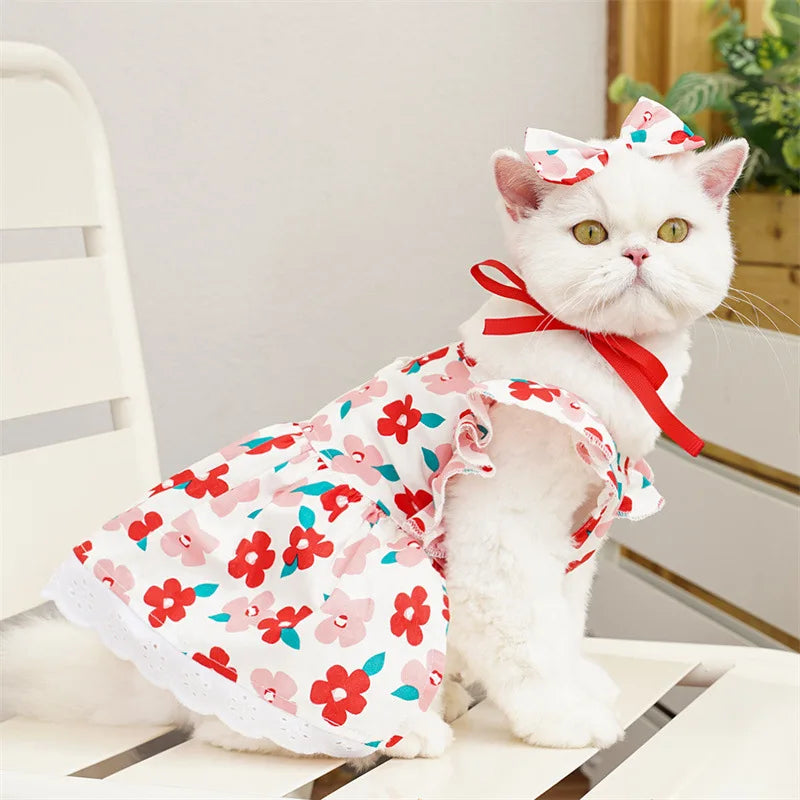 Robe Pour Chat