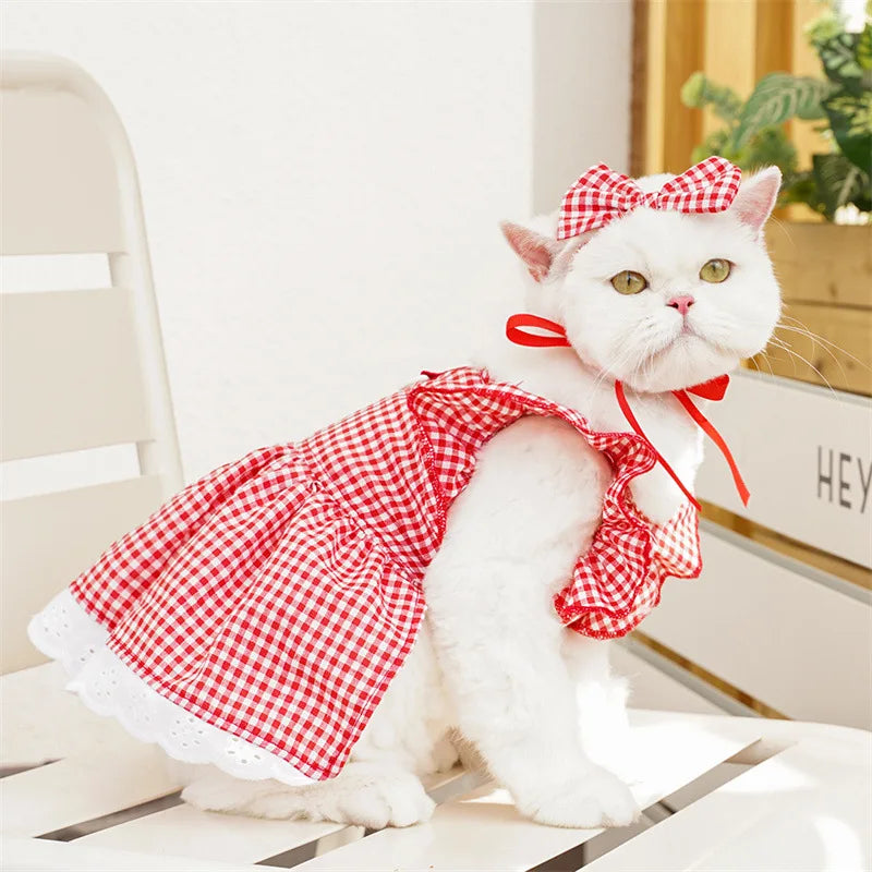 Robe Pour Chat