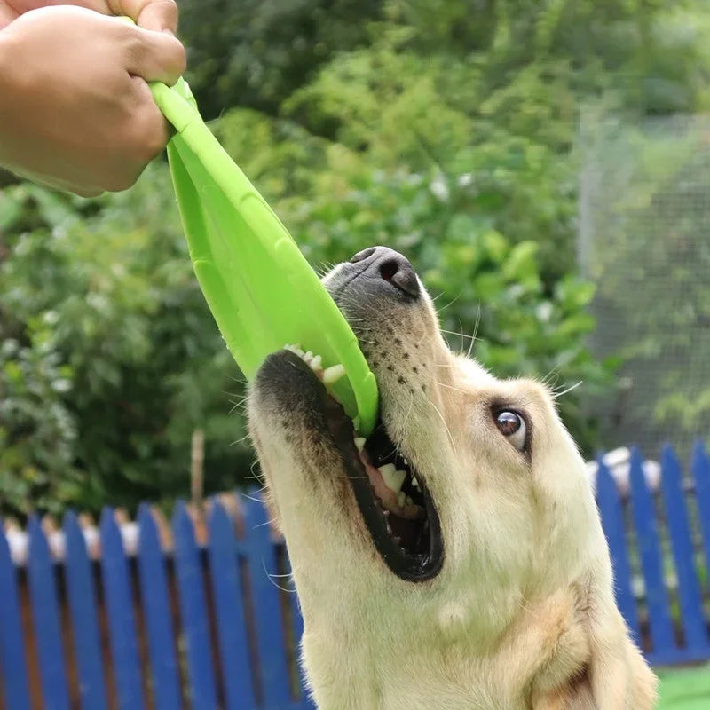 Frisbee pour Chien