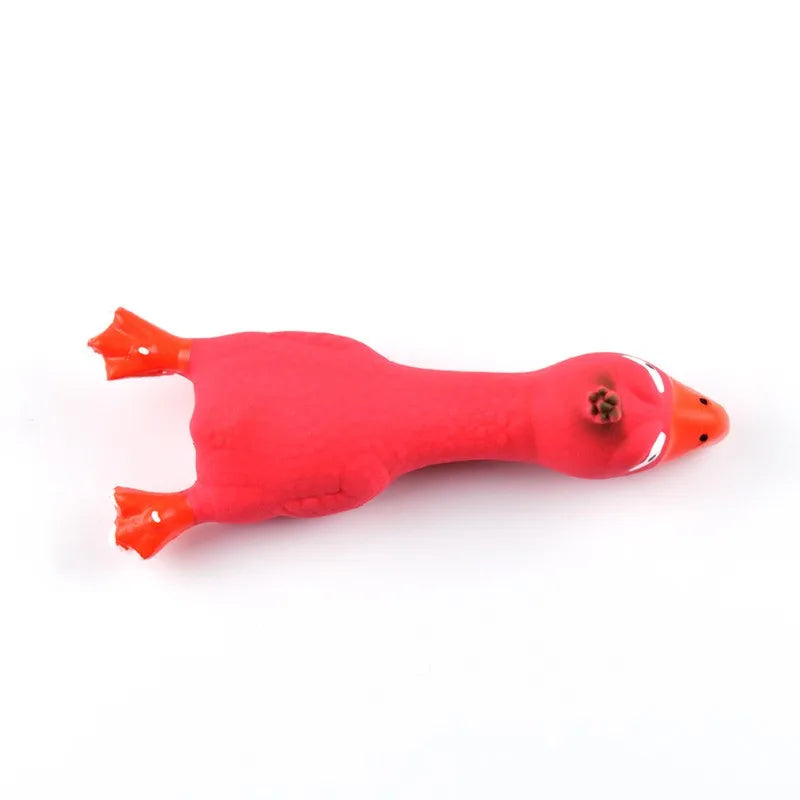 Jouet pour Chien Poulet