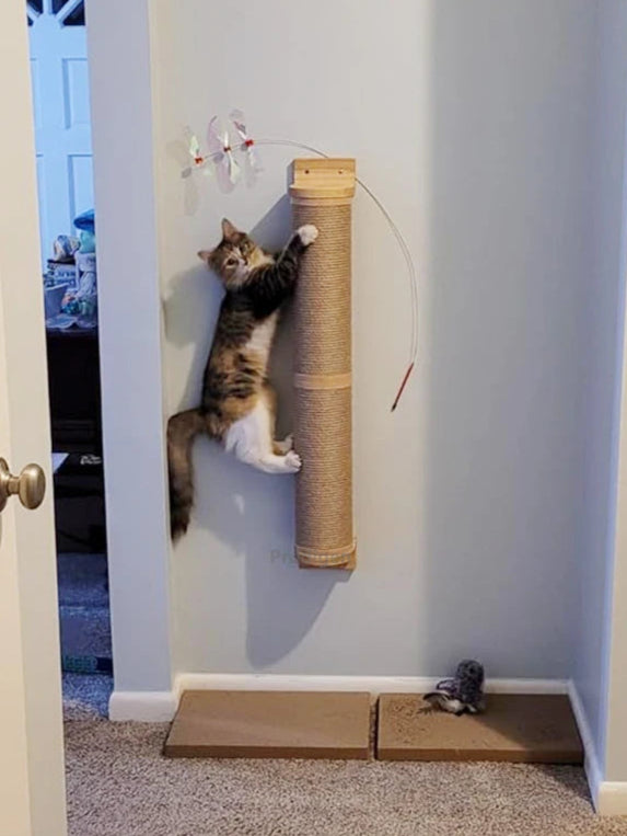 Griffoir a Chat Mural