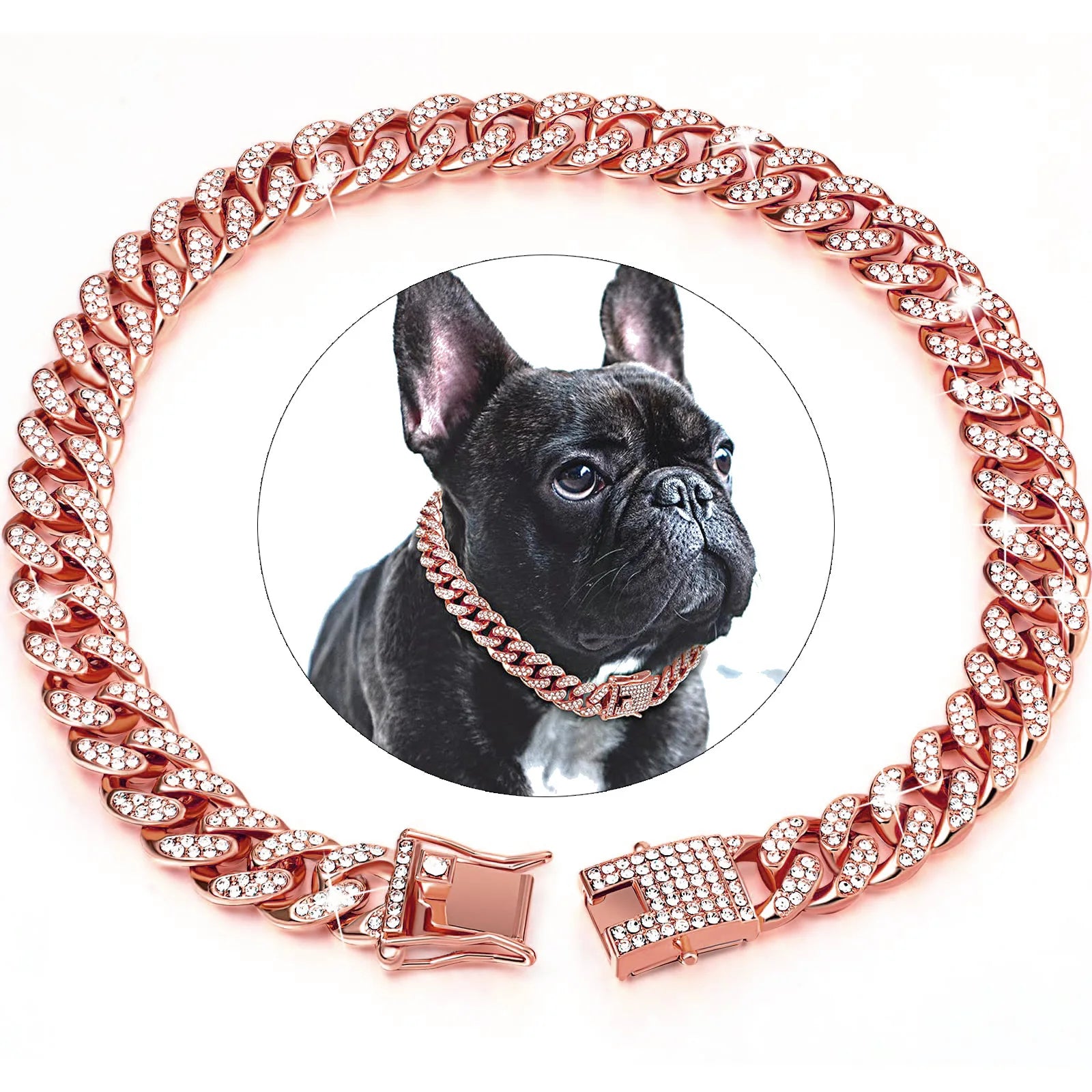Collier Fashion pour Chien