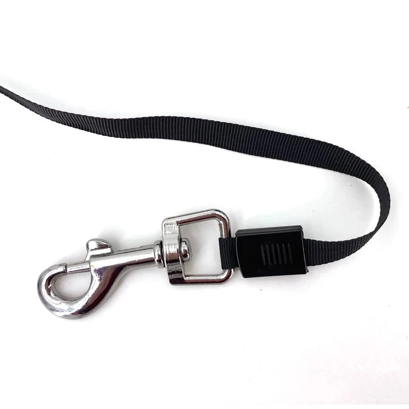 Laisse Rétractable pour Chien