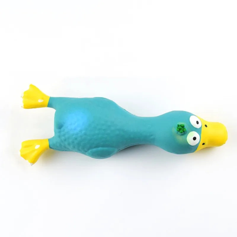 Jouet pour Chien Poulet