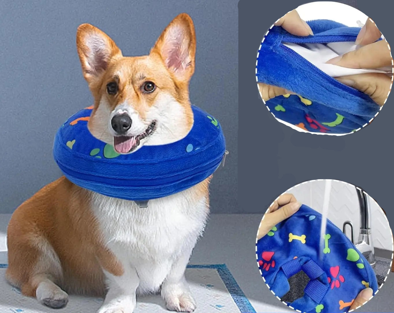 Collerette Gonflable