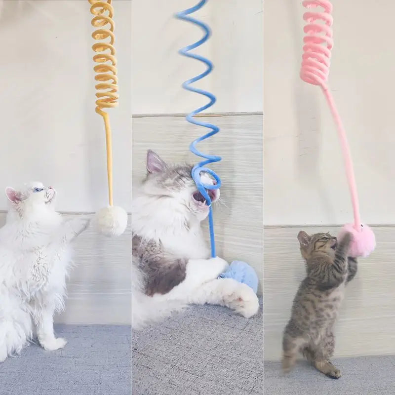 Jouets pour Chats d'appartement