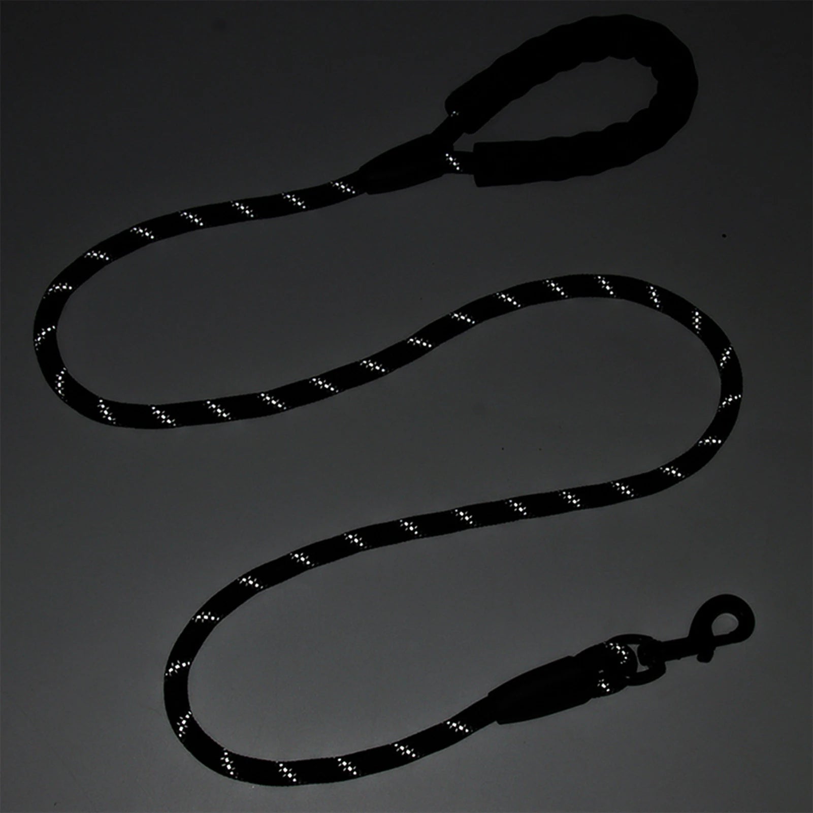 Laisse Corde pour Chien