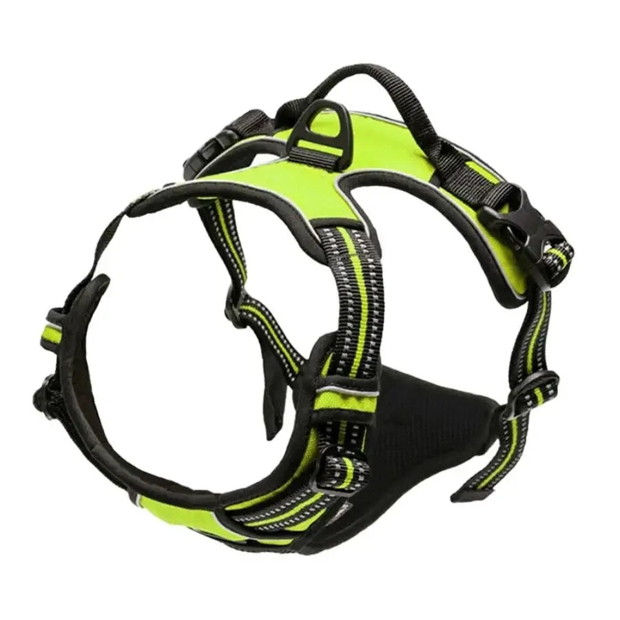 Harnais pour Chien