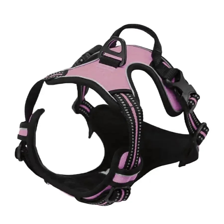 Harnais pour Chien