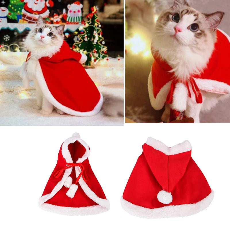 Costume De Noël Pour Chat