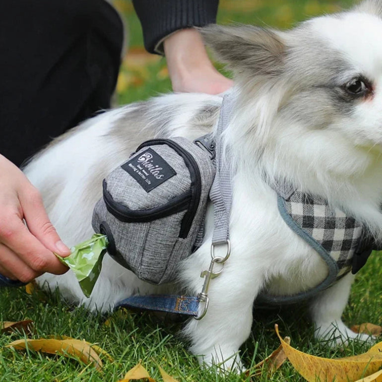 Sac a Friandise Pour Chien