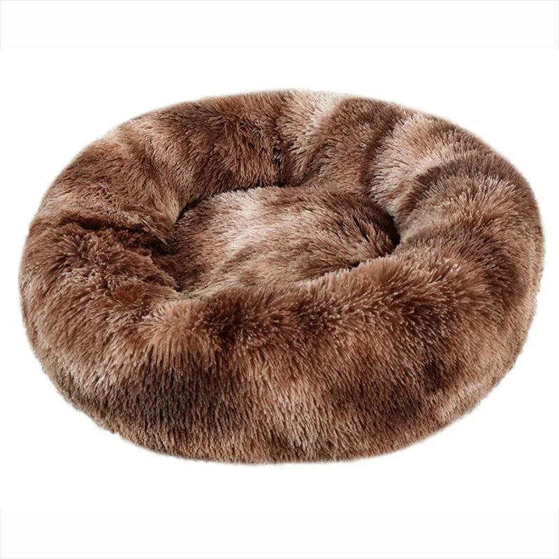 Coussin pour Chien