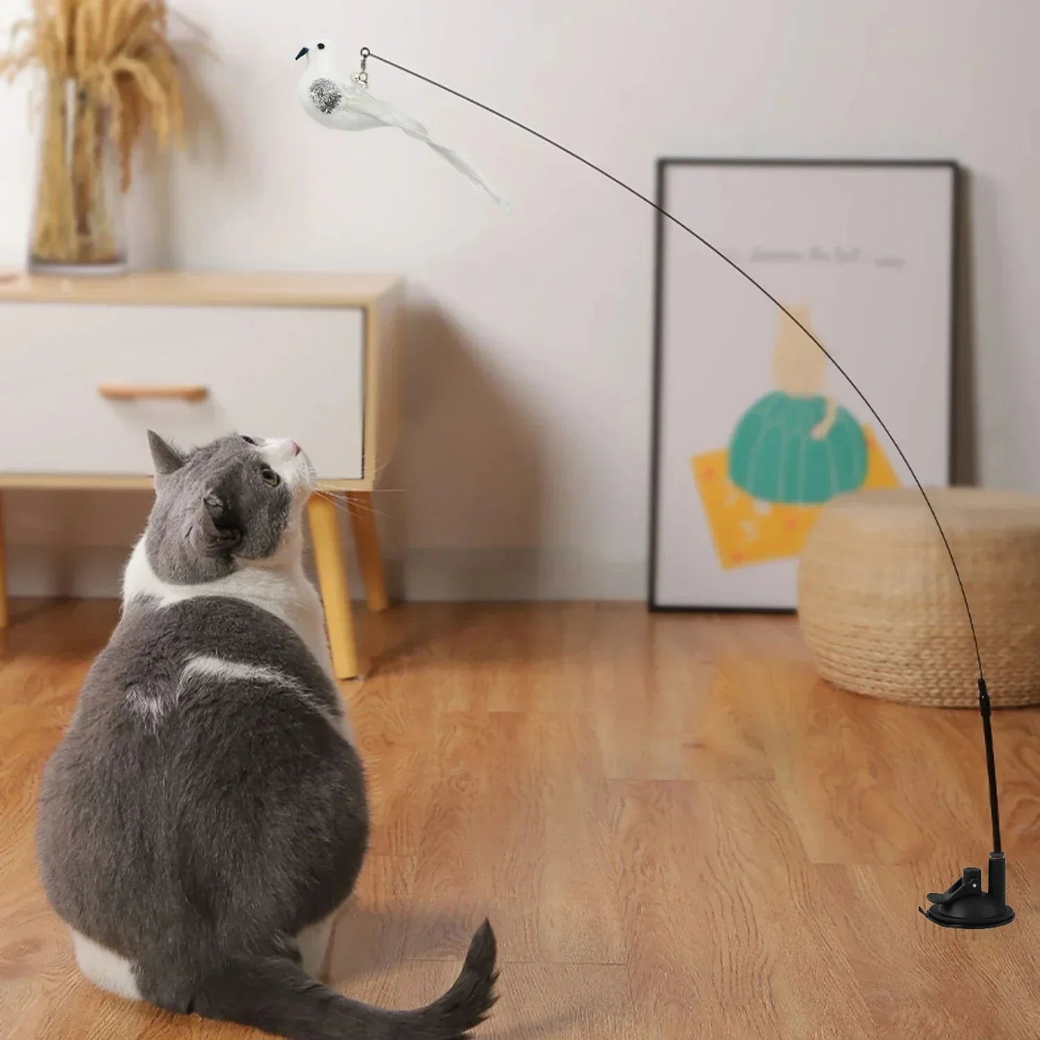 Canne a Peche sur Ventouse pour Chat